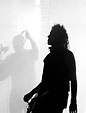 [Silhouettes] - silhouette, black and white, concert, robin finck