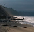 [Mistwalker] - pacific ocean, northwest, beach, mist, fog