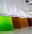 [Progress] - colored beakers, lab equipment, green, brown