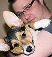 [Lady and Brandon] - welsh corgi puppy, portrait, dog