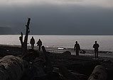 [Gloomy Stroll] - silhouette, beach, pacific ocean, washington, northwest